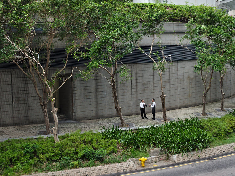 High Garden: Hong Kong, Tom Spach