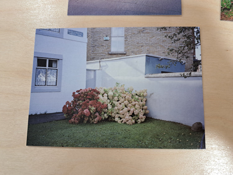 5 x Exhibition postcard set of Pebbledash Wonderland - Shane Lynam