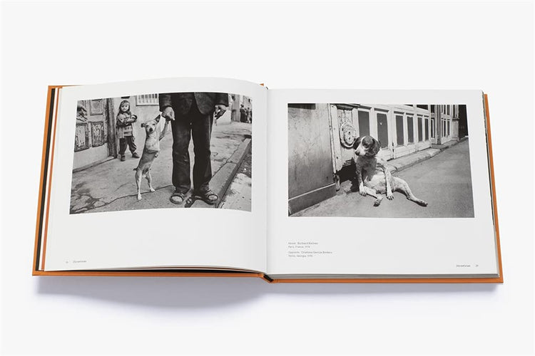 Magnum Dogs by Magnum Photos