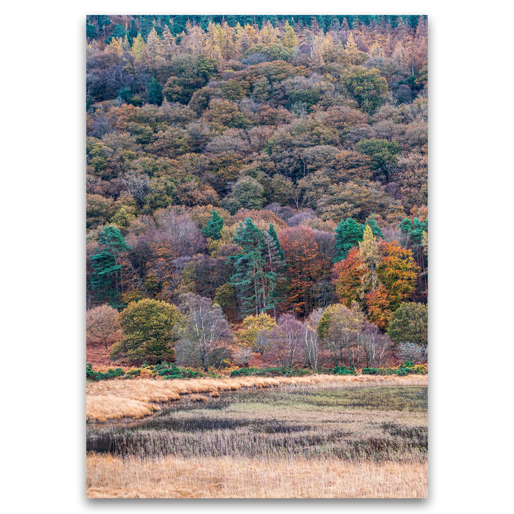 Irish Postcards (Singles), Steve Turner
