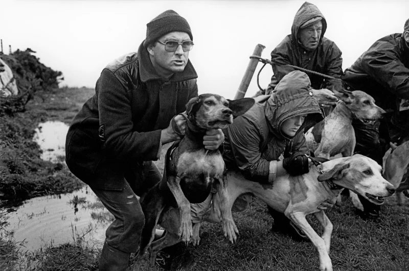 Kingdom of Hounds by Tony O'Shea (Limited special edition with print)