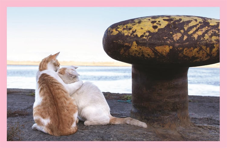 Neko: Cats of Japan, Masayuki Oki