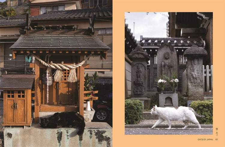 Neko: Cats of Japan, Masayuki Oki