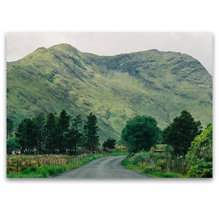 Irish Postcards (Singles), Steve Turner