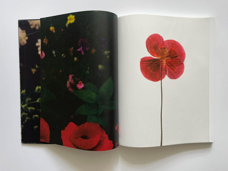 The Garden, Siân Davey