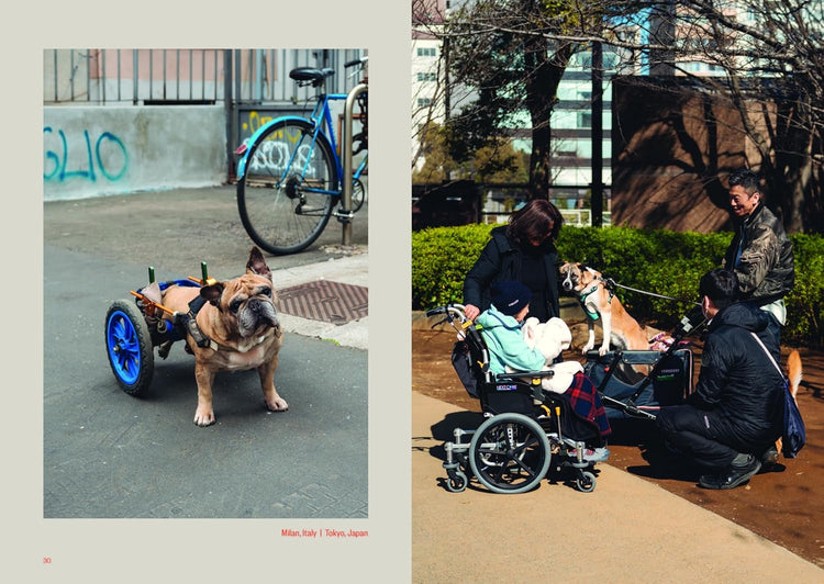 Dog's Best Friend, Giuseppe Santamaria