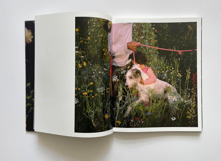 The Garden, Siân Davey