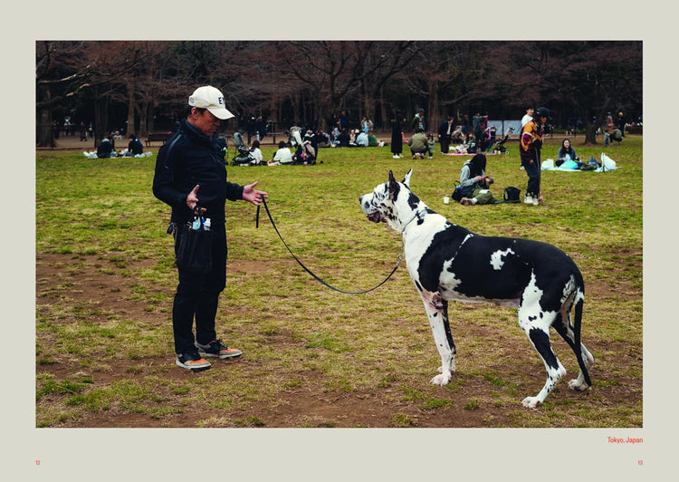Dog's Best Friend, Giuseppe Santamaria
