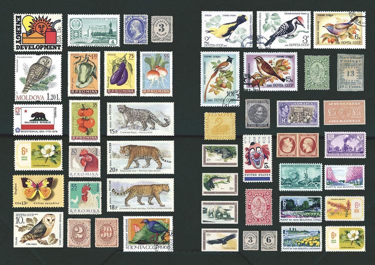 The Curious Collections Sticker Book