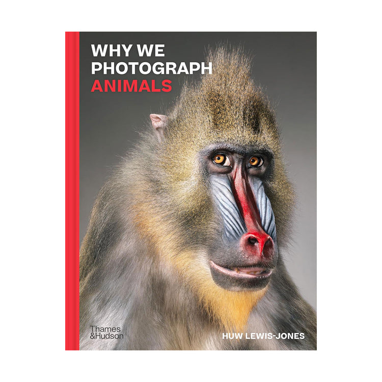 Cover of the book 'Why We Photograph Animals' displaying a close-up photograph of a monkey.
