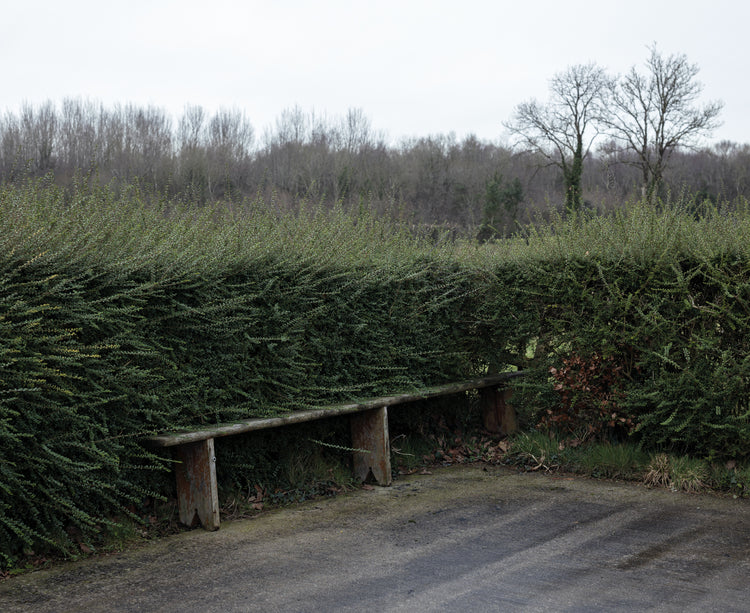 Association by Brian Newman, signed copy