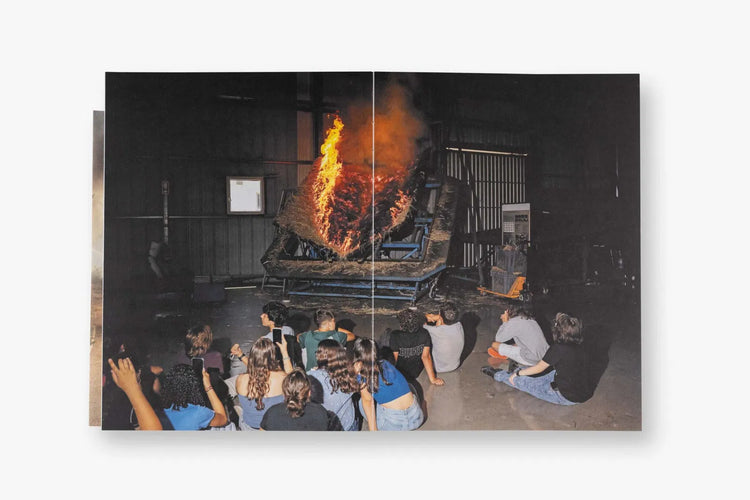 A Burning Landscape, Gonçalo Fonseca