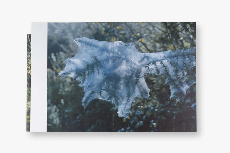 Bone Foam, Maria Oliveira