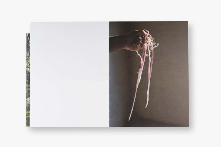 Bone Foam, Maria Oliveira