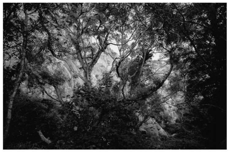 Heaven and a Hard Place by Frank Keane