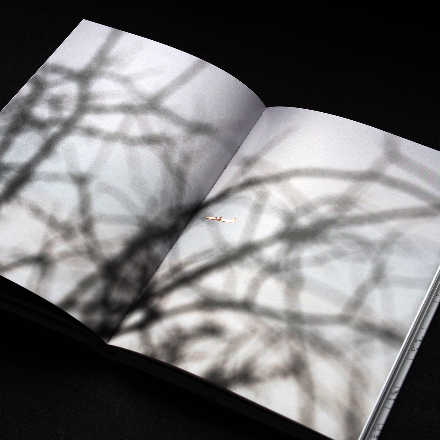 It starts with silence by Richard Gosnold (Signed copies)