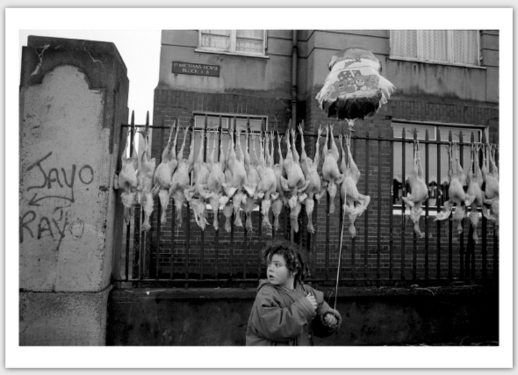 Tony O'Shea - Signature Series Postcards
