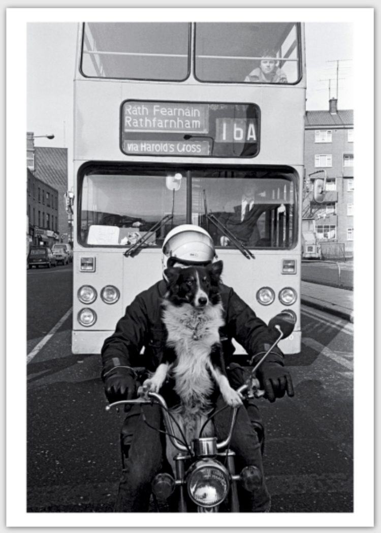 Tony O'Shea - Signature Series Postcards