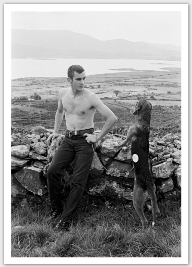 Tony O'Shea - Signature Series Postcards