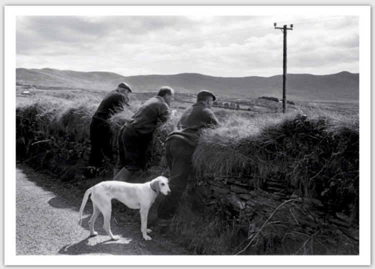 Tony O'Shea - Signature Series Postcards