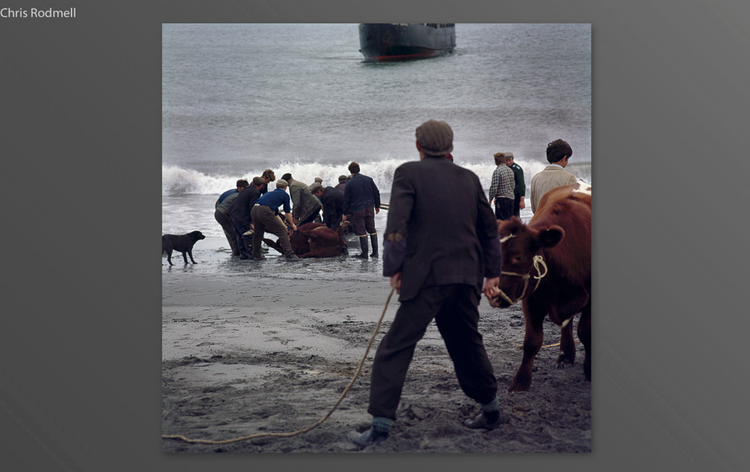 Inis Meáin 1973-2023, Chris Rodmell (First Edition)