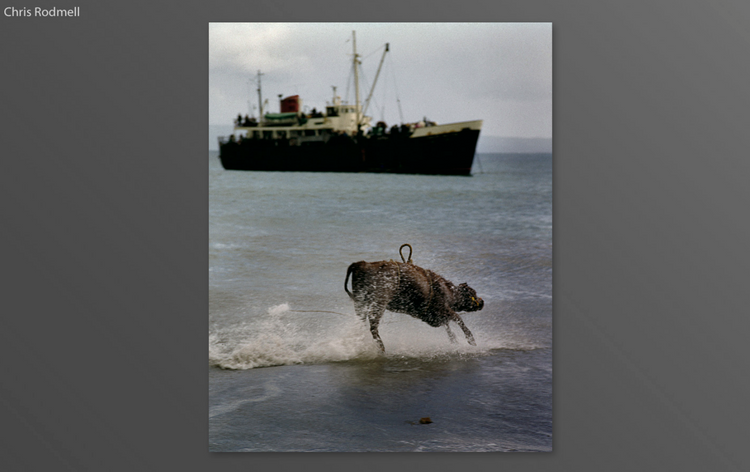 Inis Meáin 1973-2023, Chris Rodmell (First Edition)