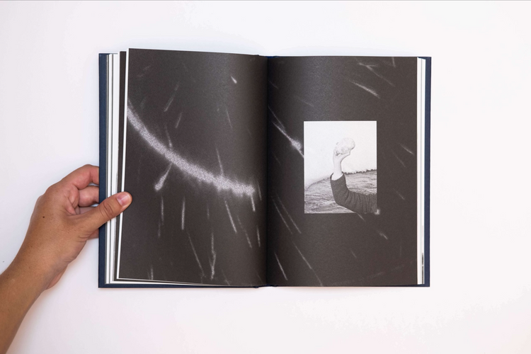 I saw a tree bearing stones in the place of apples and pears, Emilia Martin