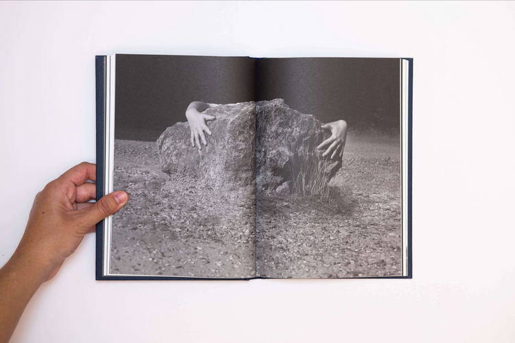 I saw a tree bearing stones in the place of apples and pears, Emilia Martin