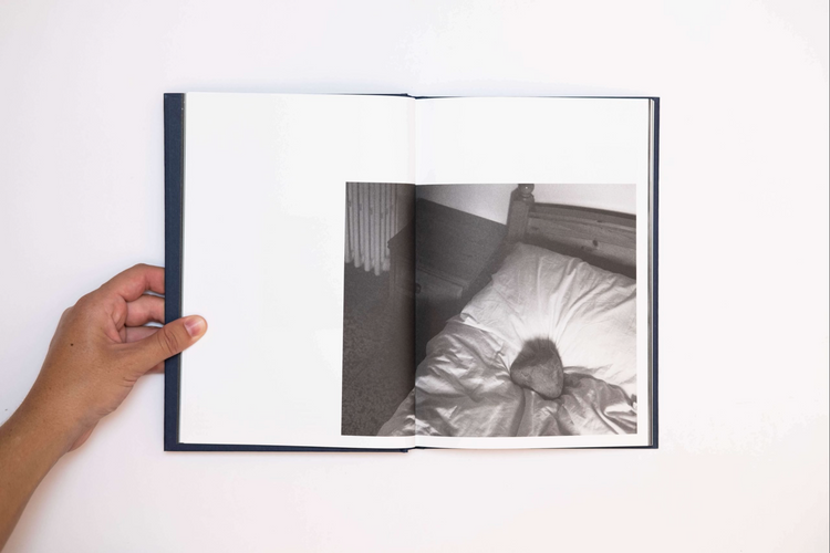 I saw a tree bearing stones in the place of apples and pears, Emilia Martin