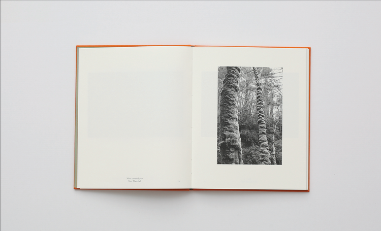 WET FEET, Simon G. Wheeler