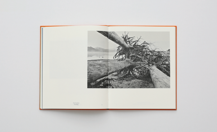 WET FEET, Simon G. Wheeler