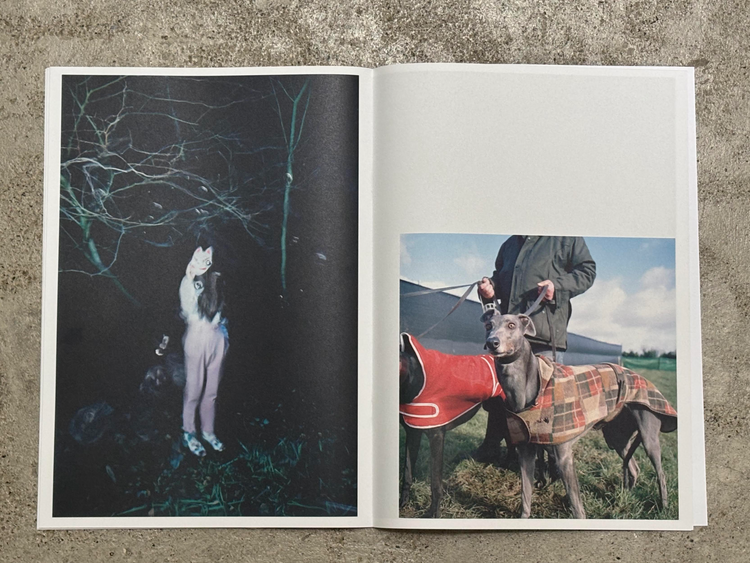 Brionglóid, Island Photographers