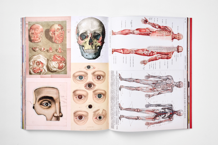 Cut Out Curiosities: Space, Science & Technology