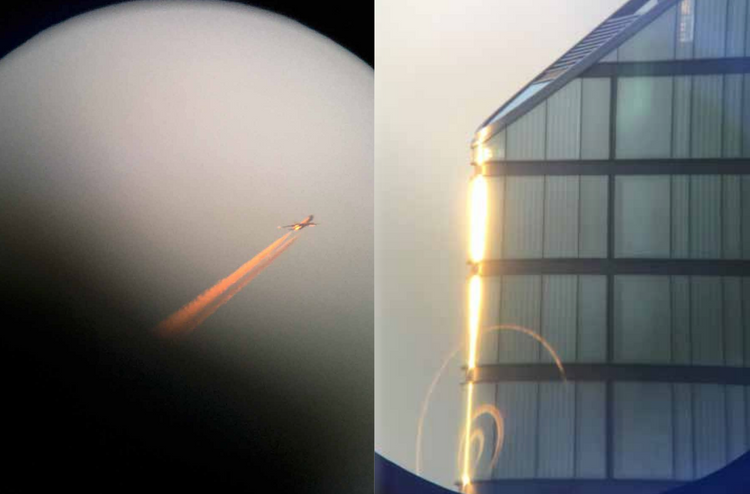 Moon City, Mimi Mollica