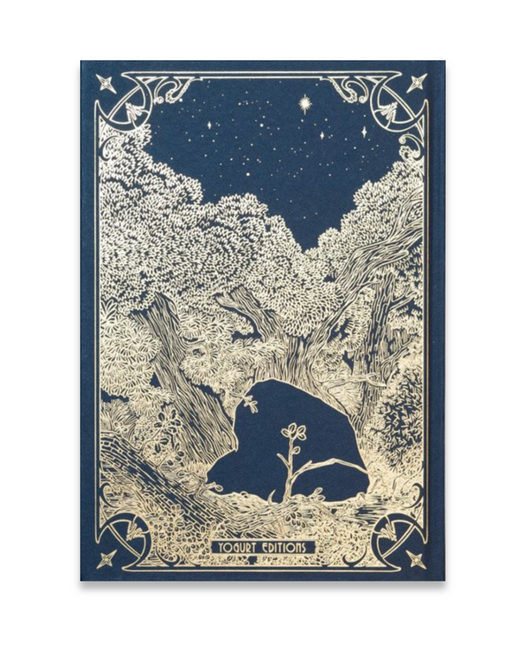 I saw a tree bearing stones in the place of apples and pears, Emilia Martin