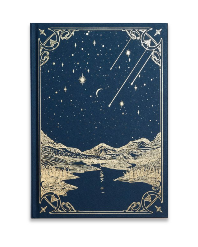 I saw a tree bearing stones in the place of apples and pears, Emilia Martin