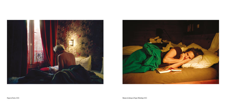 Dreams and How to Keep Them, Vincent Wechselberger