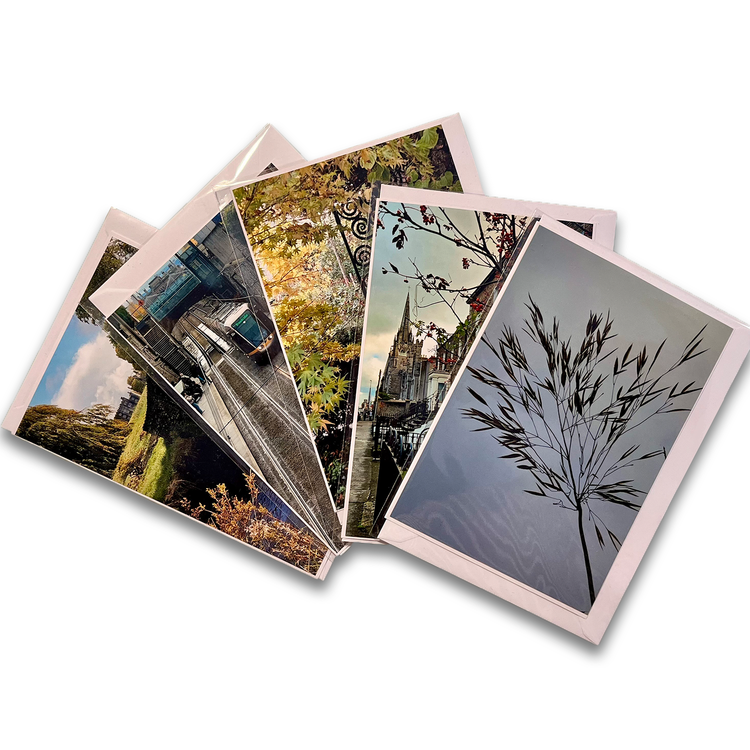 Angela Darmody Greeting Cards