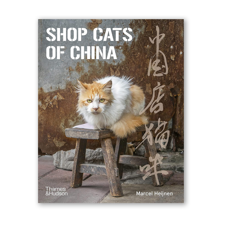 A cover image of the book 'Shop Cats of China' featuring a photograph of a fluffy cat sitting on a stool in front of a shop with Chinese characters on the wall.