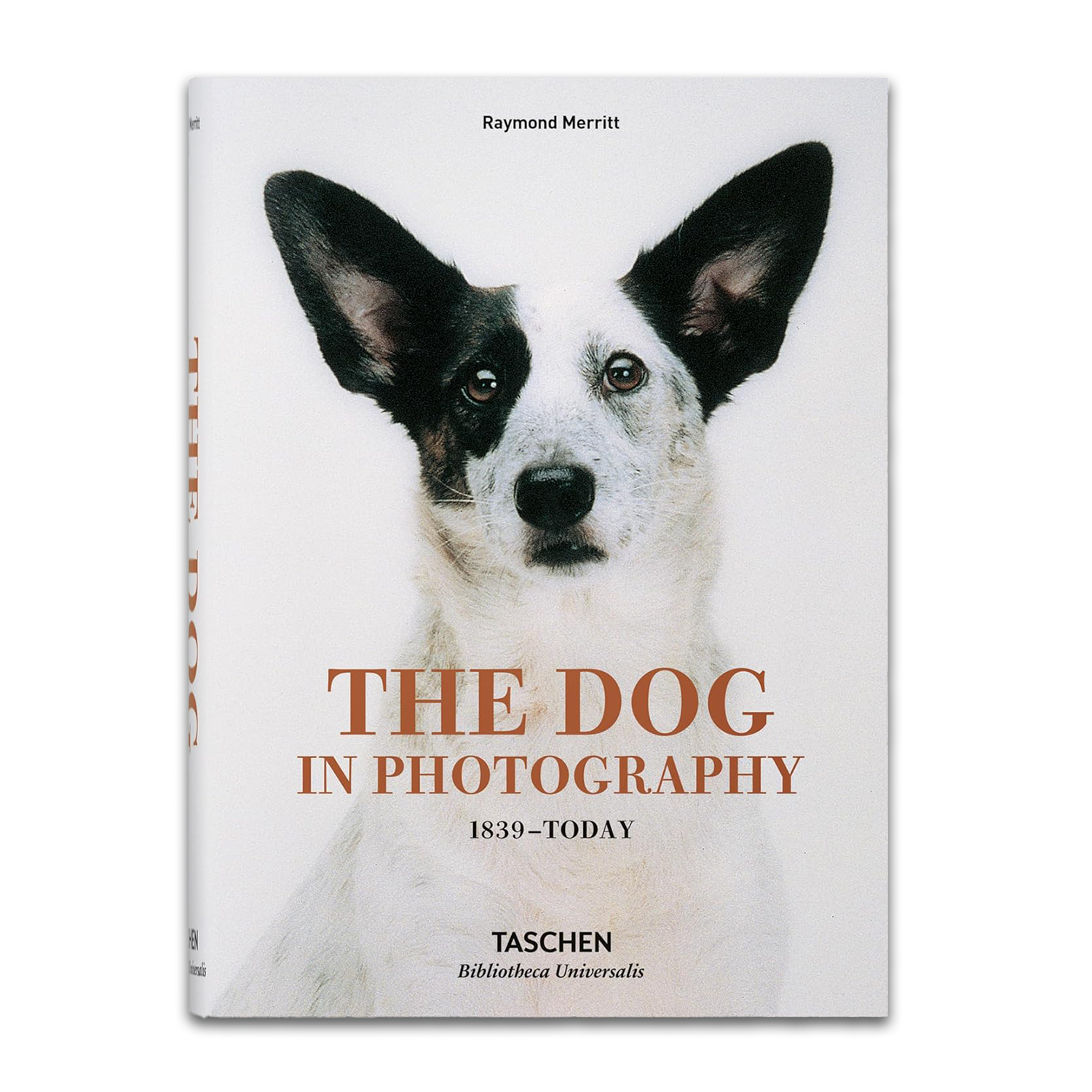 Book cover of 'The Dog in Photography' featuring a black and white dog.