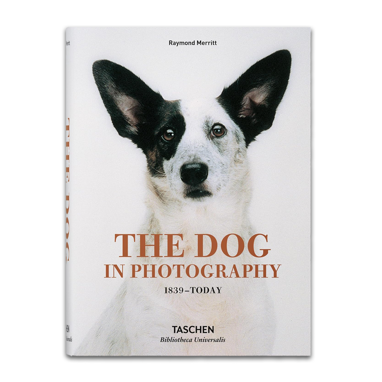 Book cover of 'The Dog in Photography' featuring a black and white dog.