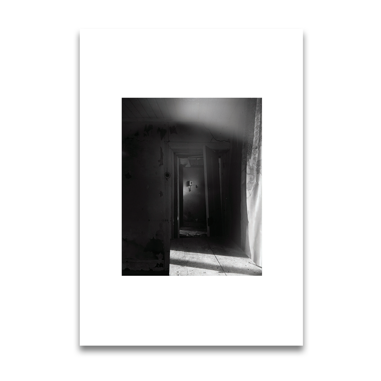 Traces, Muireann Dolan