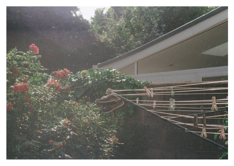 PhotoWorks 2025 Postcard Set