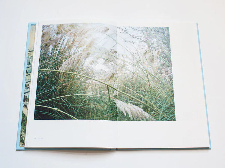 Fifty High Seasons by Shane Lynam