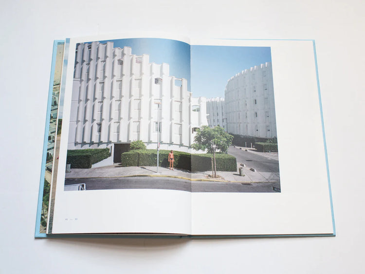 Fifty High Seasons by Shane Lynam