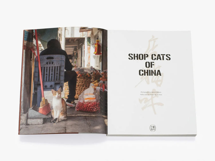 Shop Cats of China, Marcel Heijnen