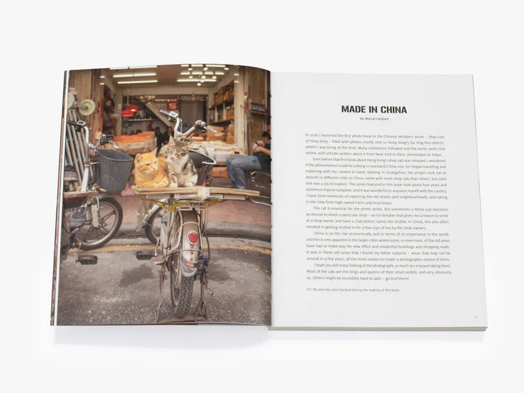 Shop Cats of China, Marcel Heijnen