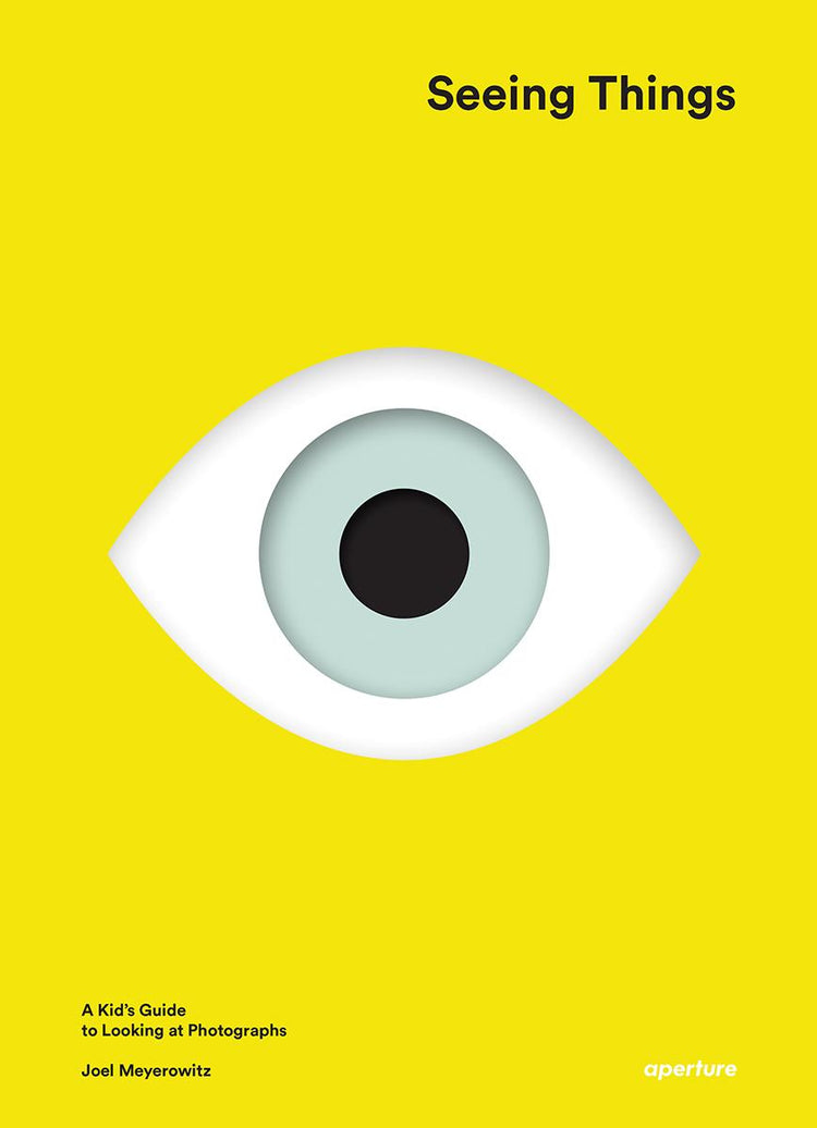 The cover of the book 'Seeing Things' featuring a graphic of a human eye on a yellow background, with text detailing the title and author, Joel Meyerowitz.