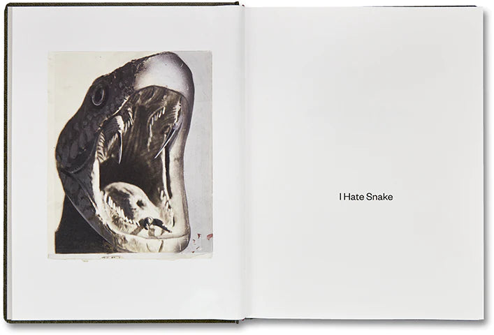 Girl Plays with Snake by Clare Strand