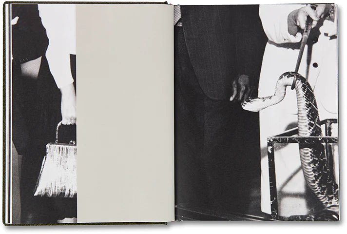 Girl Plays with Snake by Clare Strand